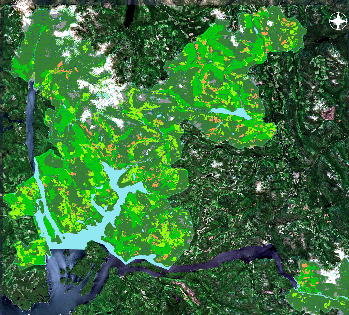 Our Technology Gentian - Download Incredible Colorful Wallpaper | Desktop